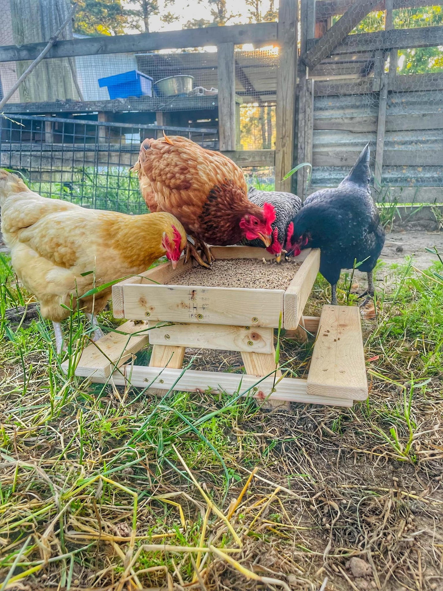 Chick-nic Table